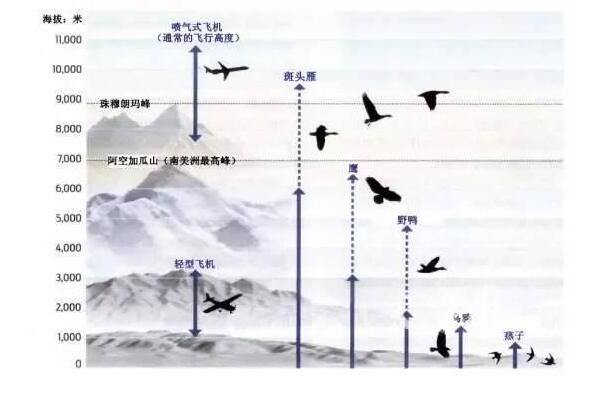 车载GPS定位器